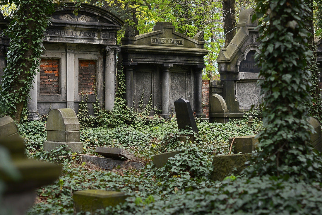 Green Cemeteries: How Conservation Burial Saves Nature