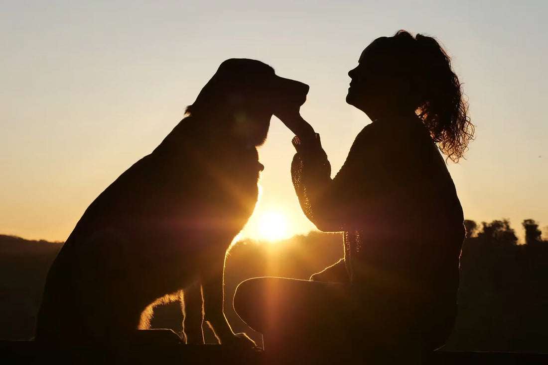 Sunset Pet Memorial