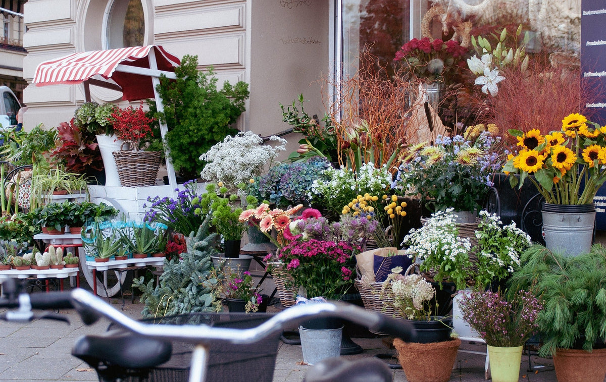 What Are The Funeral Flowers Etiquettes: A Condolence Guide