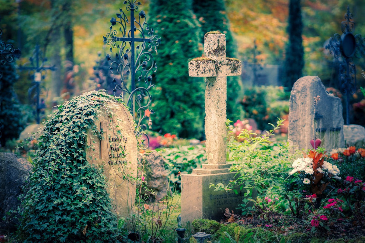 Funeral Homes in Adamsville, Alabama
