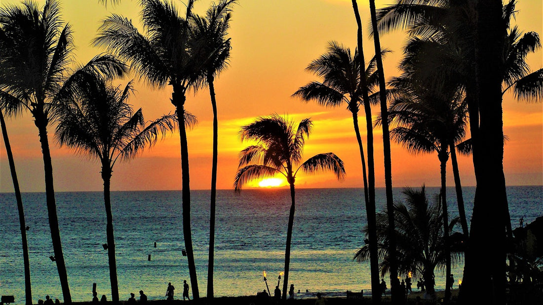 Understanding the Laws on Cremation in Hawaii: Meaning and Specificities