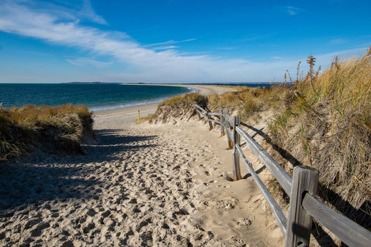 What Are The Burial Laws Of Rhode Island?