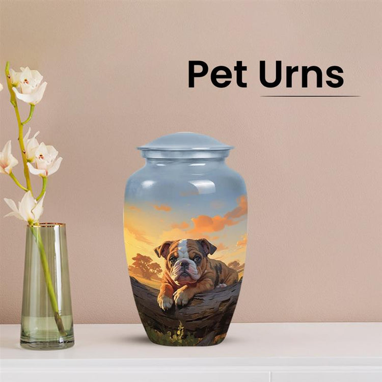 Pet Urns for Ashes