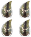 Classic Dove flying Memorial Urn