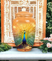 Elegantly designed Peacock-themed cremation urn for storing human ashes, suitable for both adult males and females.