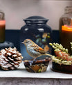 Sparrow design cremation urn, ideal for preserving adult female and male ashes.