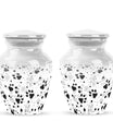Classic PAWS cremation urn for women's ashes
