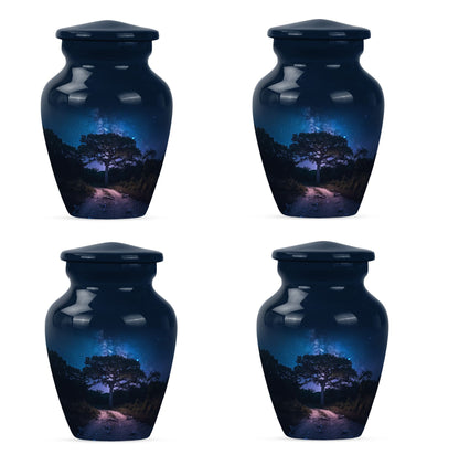 Galaxy Urn for ashes.