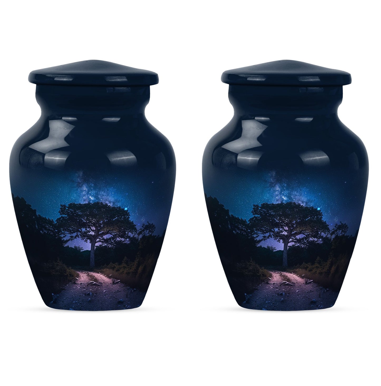 Galaxy Urn for ashes.
