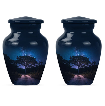 Galaxy Urn for ashes.