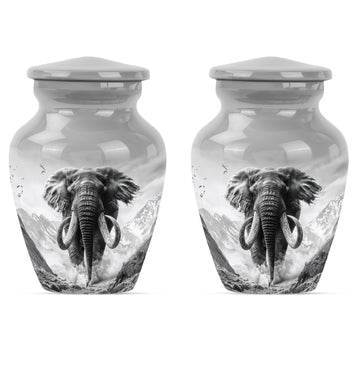 Small Urn Set of 2