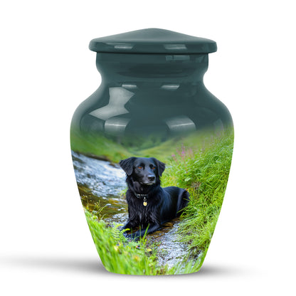 Teal Breathtaking Dog Memorial Urn for Ashes - 10-inch, 200 cu in - Yatskia