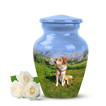Blue Dog Cremation Urns - Imperial Blessing 10-inch, 200 cu in - Yatskia