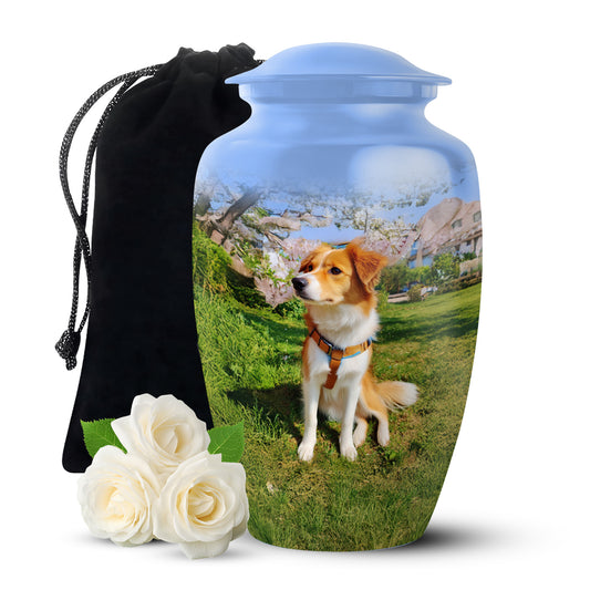 Soft Blue Dog Cremation Urn angled view of lid and engraved motif - traditional dog engraving with hand-polished finish - full-size 10 inch 200 cubic inch adult cremation urn