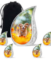 Joyful Pet Dog Cremation Urn - Perfect Urns For Pet Memorials