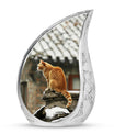 Orange Cat Keepsake For Ashes Large Funeral, Ashes Urn For Ashes