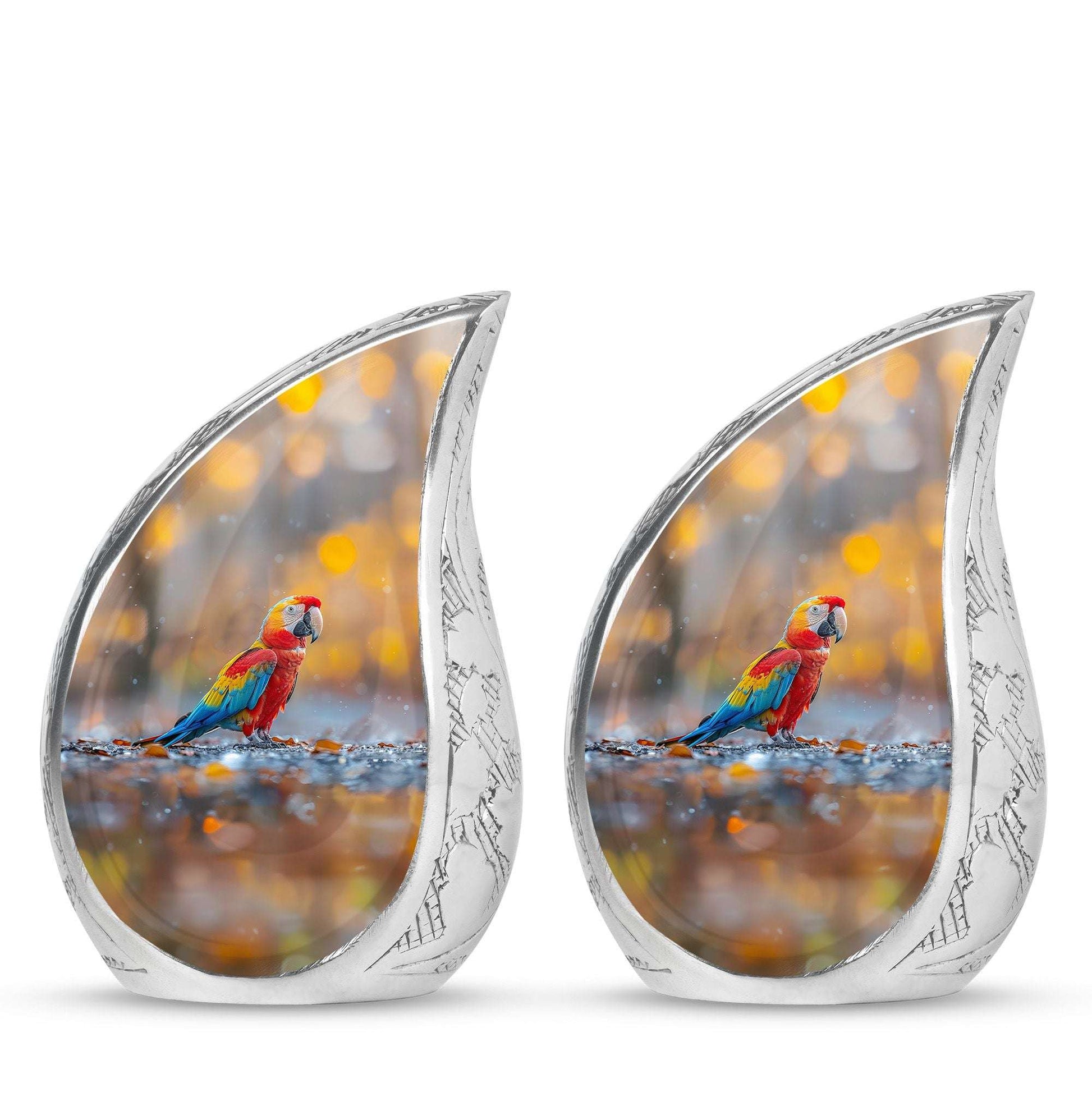 Macaw Parrot Theme 3 Inch Keepsake Pack of 2