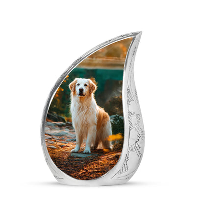 Radiant Dog Memorial Cremation Urns - Black 10-inch, 200 cu in - Yatskia