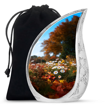 Teardrop