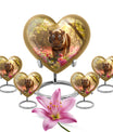 Tiger Memorial Urn For Ashes - Pink Flowers Garden Cremation Urn