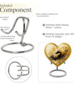 heart shaped dragon urn for cremation ashes.