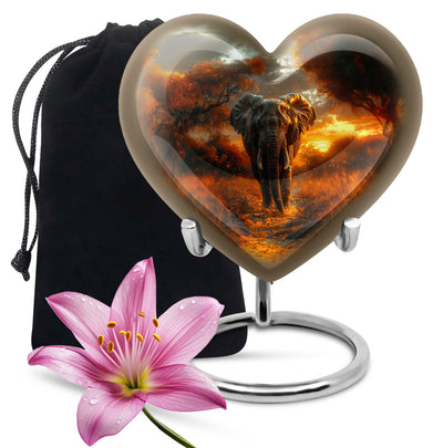 Heart