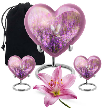 Heart