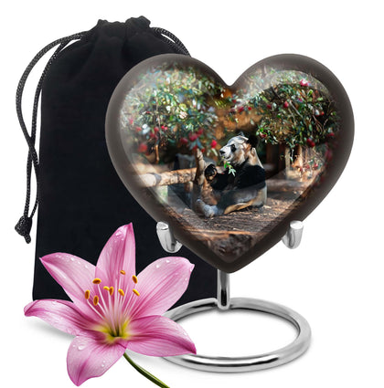 Heart
