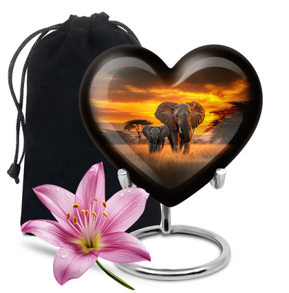 Heart