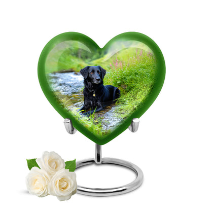 Teal Breathtaking Dog Memorial Urn for Ashes - 10-inch, 200 cu in - Yatskia