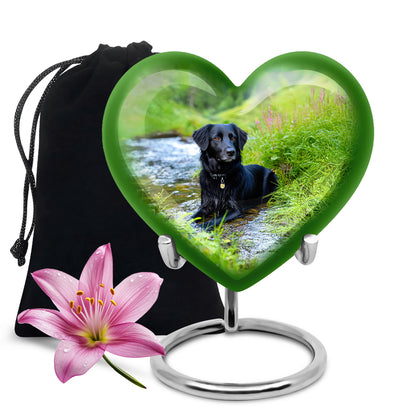 Ocean Teal Dog Cremation Urn detail view - loving heart memorial featuring dog pattern - full-size 10 inch 200 cubic inch adult cremation urn