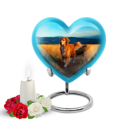 Teal Dog Cremation Urns - Glorious Embrace 10-inch, 200 cu in - Yatskia