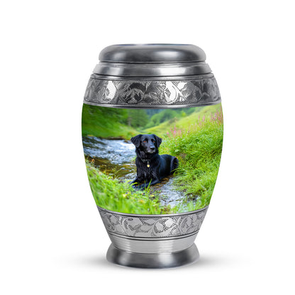 Teal Breathtaking Dog Memorial Urn for Ashes - 10-inch, 200 cu in - Yatskia