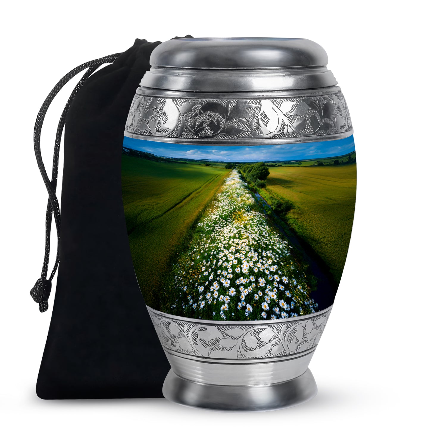 Cornflower Blue Daisy Cremation Urn back view with polished surface - royal daisy engraving with decorative scrollwork - full-size 10 inch 200 cubic inch adult cremation urn