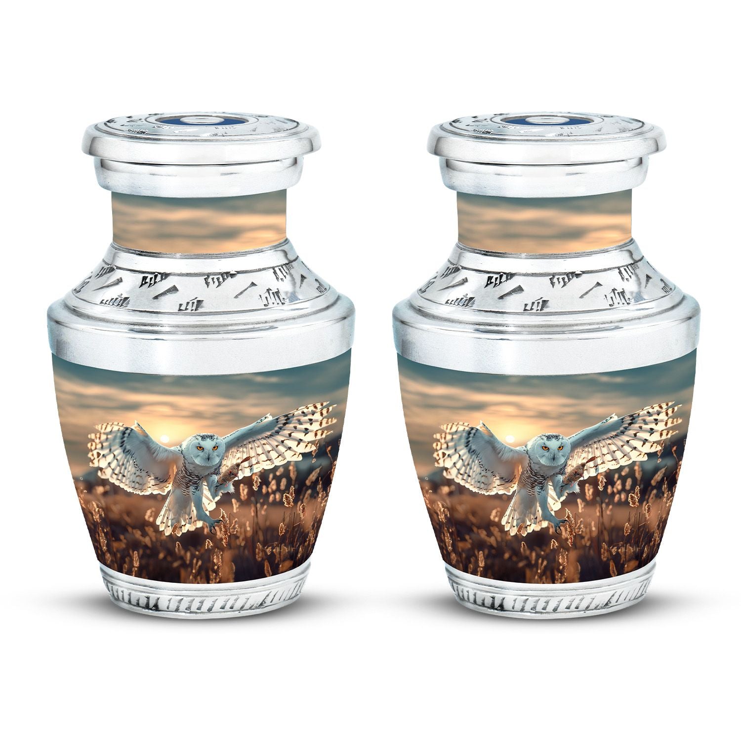 Owl Theme 3 Inch Keepsake Pack of 2