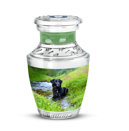 Teal Breathtaking Dog Memorial Urn for Ashes - 10-inch, 200 cu in - Yatskia