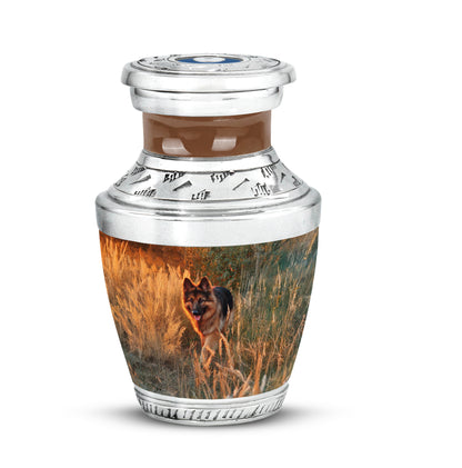Personalized Dog Cremation Urns - Eminent Gold 10-inch, 200 cu in - Yatskia