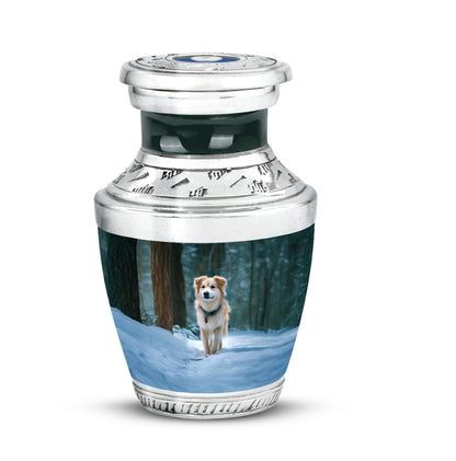 Personalized Teal Dog Cremation Urns for Ashes - Peaceful 10-inch - Yatskia