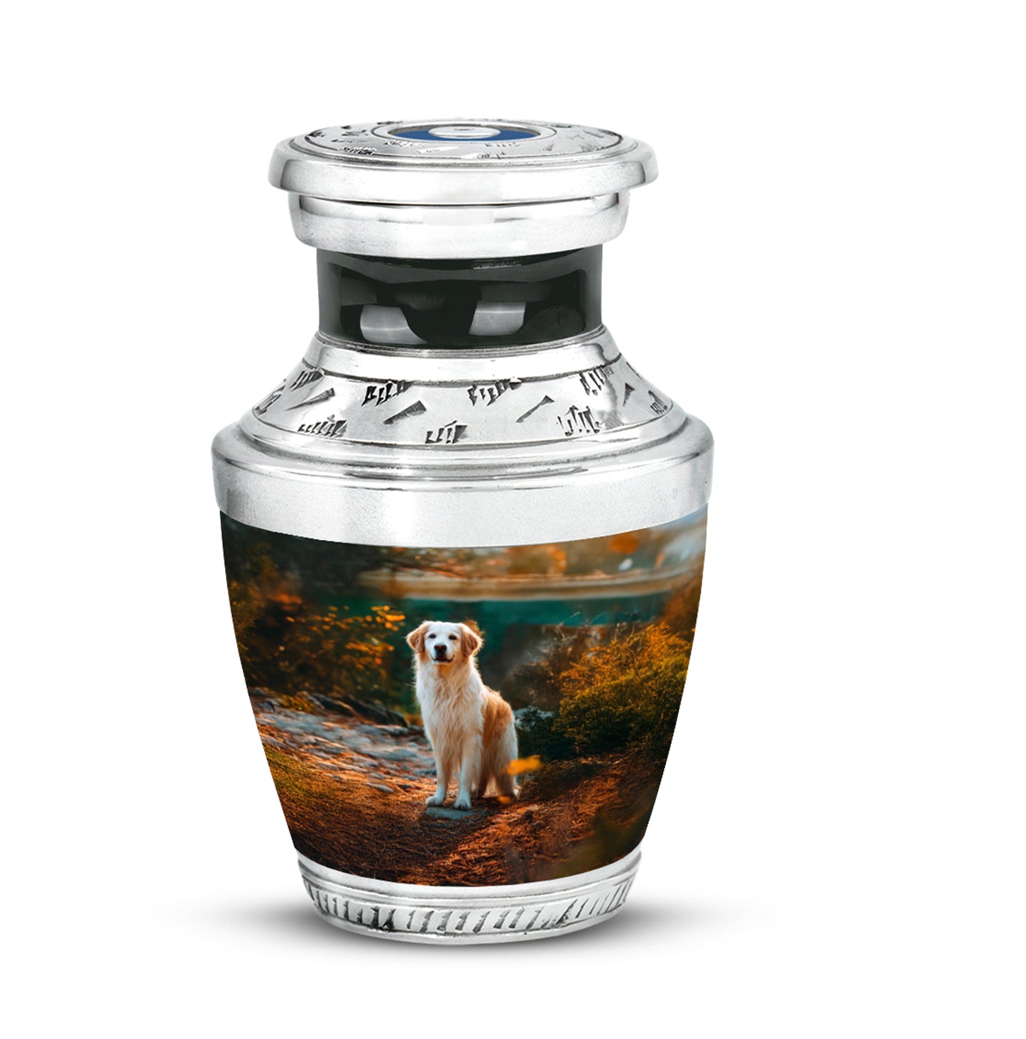 Radiant Dog Memorial Cremation Urns - Black 10-inch, 200 cu in - Yatskia