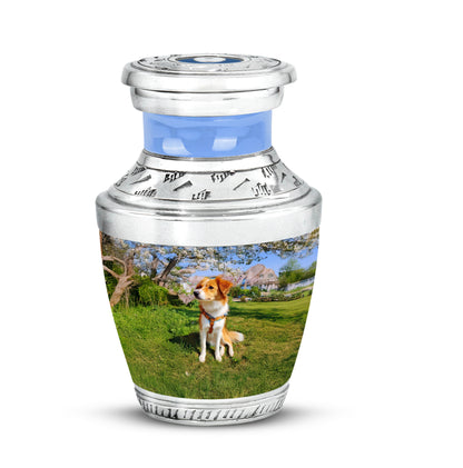 Blue Dog Cremation Urns - Imperial Blessing 10-inch, 200 cu in - Yatskia