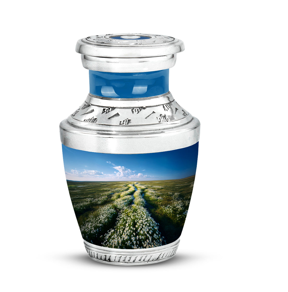 Personalized Blue Sovereign Daisy Cremation Urns for Human Ashes - Yatskia
