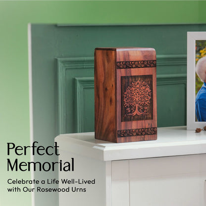 Biodegradable tree of life urn for storing ashes of adults, suitable for both male and female