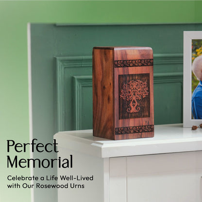 Biodegradable Tree Of Life Urn, ideal for cremation ashes of adult female or mom, suitable for a burial ceremony