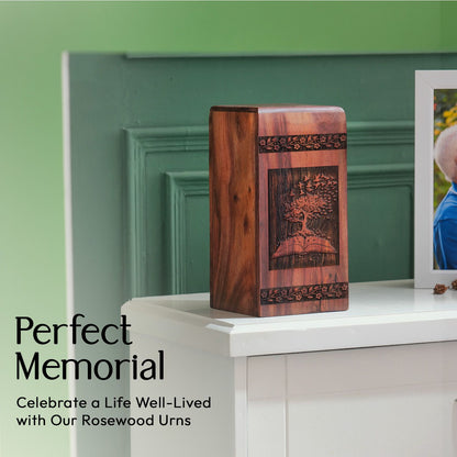 Eco-friendly Tree of Life urn, suitable as elegant funeral decoration or burial urn for human ashes, ideal for adults and women.