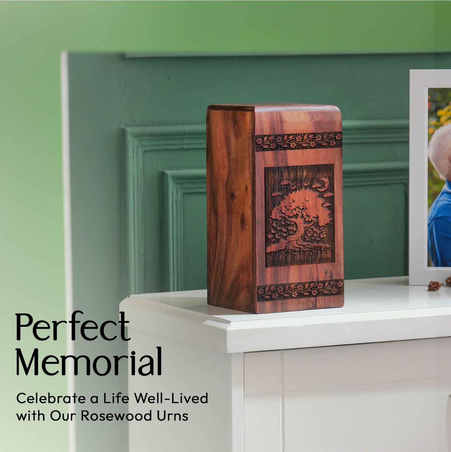 Biodegradable Tree of Life urn, suitable for adult woman's ashes post cremation.