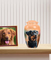 Rottweiler Keepsake Cremation Urn for Pet Ashes - Dog Memorial Urn