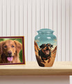Rottweiler Dog Pet Cremation Urn for Ashes - Small Pet Urn